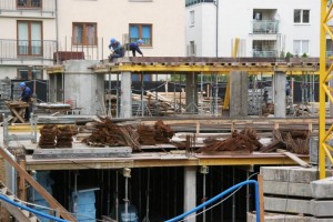 zdjęcie Białowieska 7/9