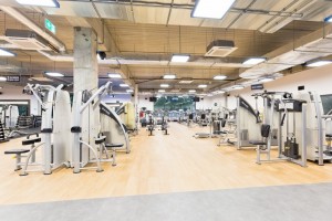 zdjęcie Galeria Zegrzyńska