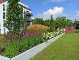 zdjęcie Mała Olszyna