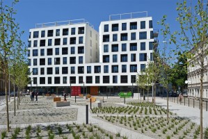 zdjęcie Księcia Witolda 43