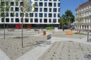 zdjęcie Księcia Witolda 43