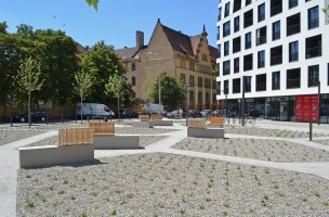 zdjęcie Księcia Witolda 43