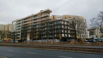 zdjęcie Wronia