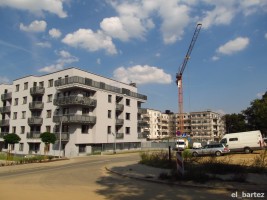 zdjęcie Central Park