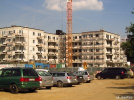 zdjęcie Central Park