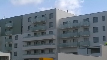 zdjęcie Ogrody Różane