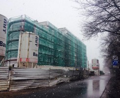 zdjęcie Na Skraju Lasu