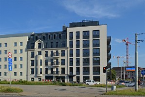 zdjęcie Jagiełły 6