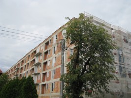 zdjęcie Kalbud Grudzińskiego