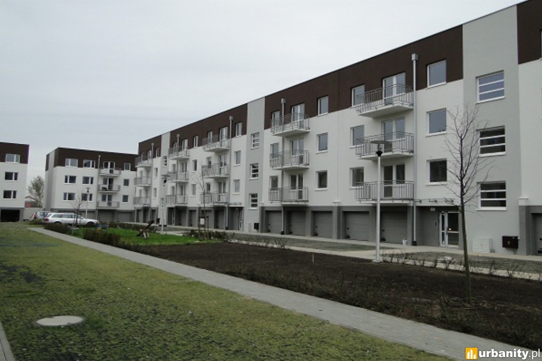 II etap