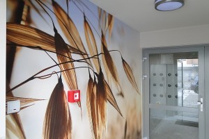 zdjęcie Biała Rzeka