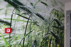 zdjęcie Biała Rzeka