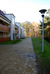 tomaszek_2008