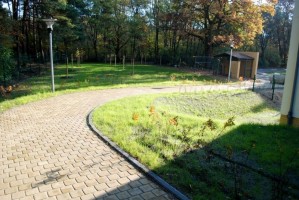 zdjęcie SM Dąb Kurpiów