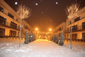 zdjęcie Park Chopina