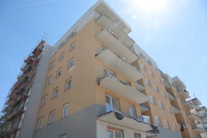 zdjęcie Młodnik
