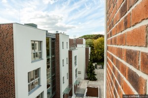 zdjęcie Wiśniowy Sad