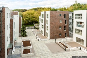 zdjęcie Wiśniowy Sad