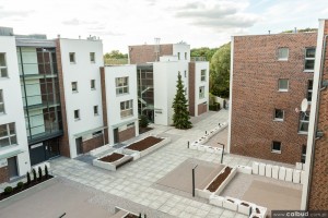 zdjęcie Wiśniowy Sad