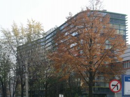 zdjęcie Tęczowy Biurowiec