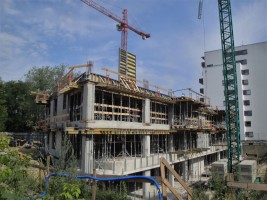 zdjęcie Apartamenty Żółwia
