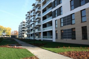 zdjęcie Platanowy Park I