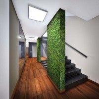 zdjęcie Szlifierska 6