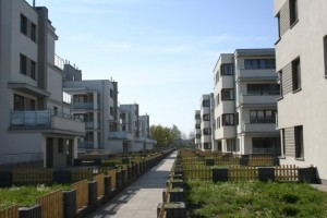 zdjęcie Osiedle Lewandów Leśny
