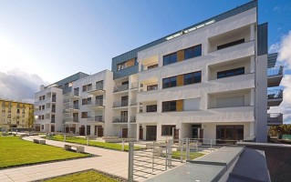 zdjęcie Platan Complex
