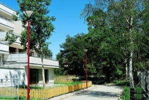 zdjęcie Osiedle Lewandów Leśny