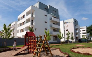 zdjęcie Platan Complex
