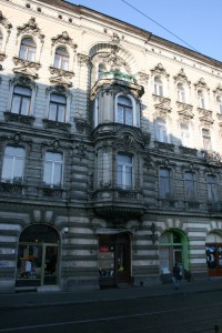 zdjęcie Zielona 3