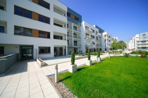 zdjęcie Platan Complex