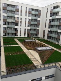 zdjęcie Wizja Mokotów