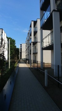zdjęcie Nowy Park
