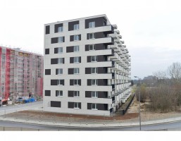 zdjęcie Orlińskiego 4