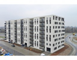 zdjęcie Orlińskiego 4