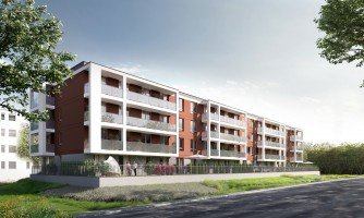 zdjęcie Staw Płaszowski