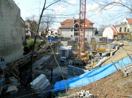 zdjęcie Stella Prima