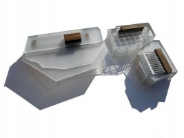 wizualizacje Forum Kultury