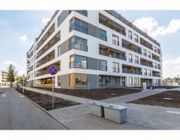 IV etap