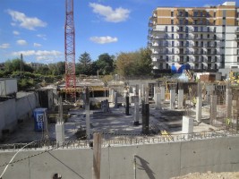 zdjęcie Borsucza 55