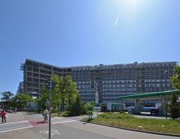 zdjęcie Ogrody Grabiszyńskie II