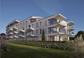 zdjęcie z budowy Dominikanów