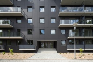 zdjęcie Kępa Mieszczańska