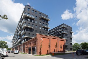 zdjęcie Kępa Mieszczańska