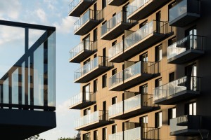 zdjęcie Kępa Mieszczańska