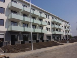 zdjęcie Skarbowców