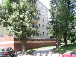 zdjęcie Pasteura 6A