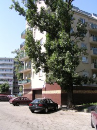 zdjęcie Pasteura 6A